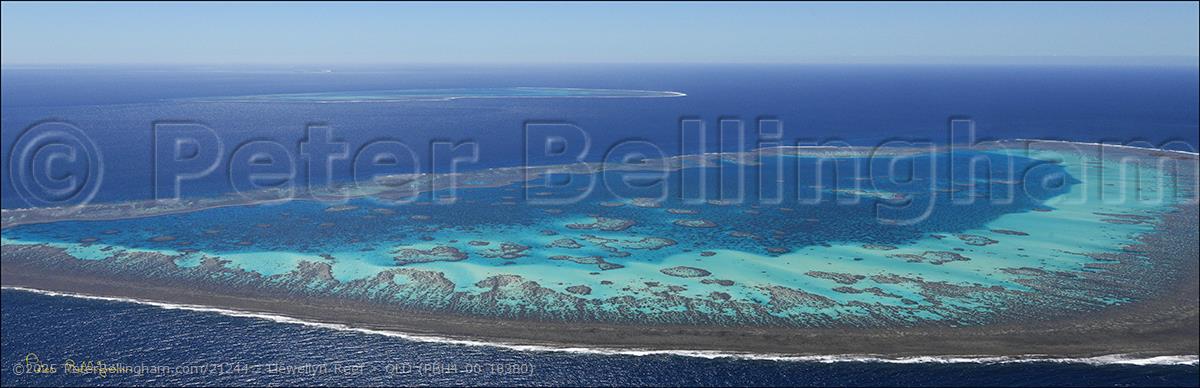 Peter Bellingham Photography Llewellyn Reef - QLD (PBH4 00 18380)